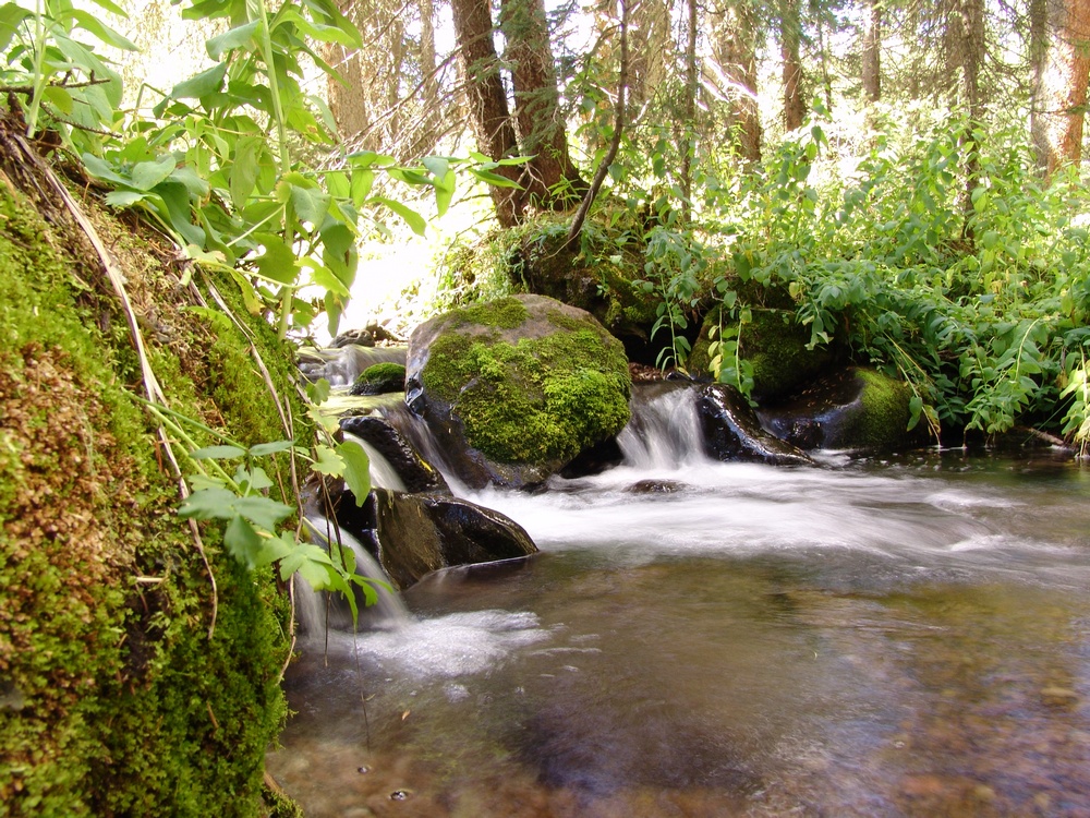 Long Shutter Speed Stream Photo